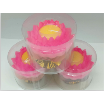 德东蜡烛13